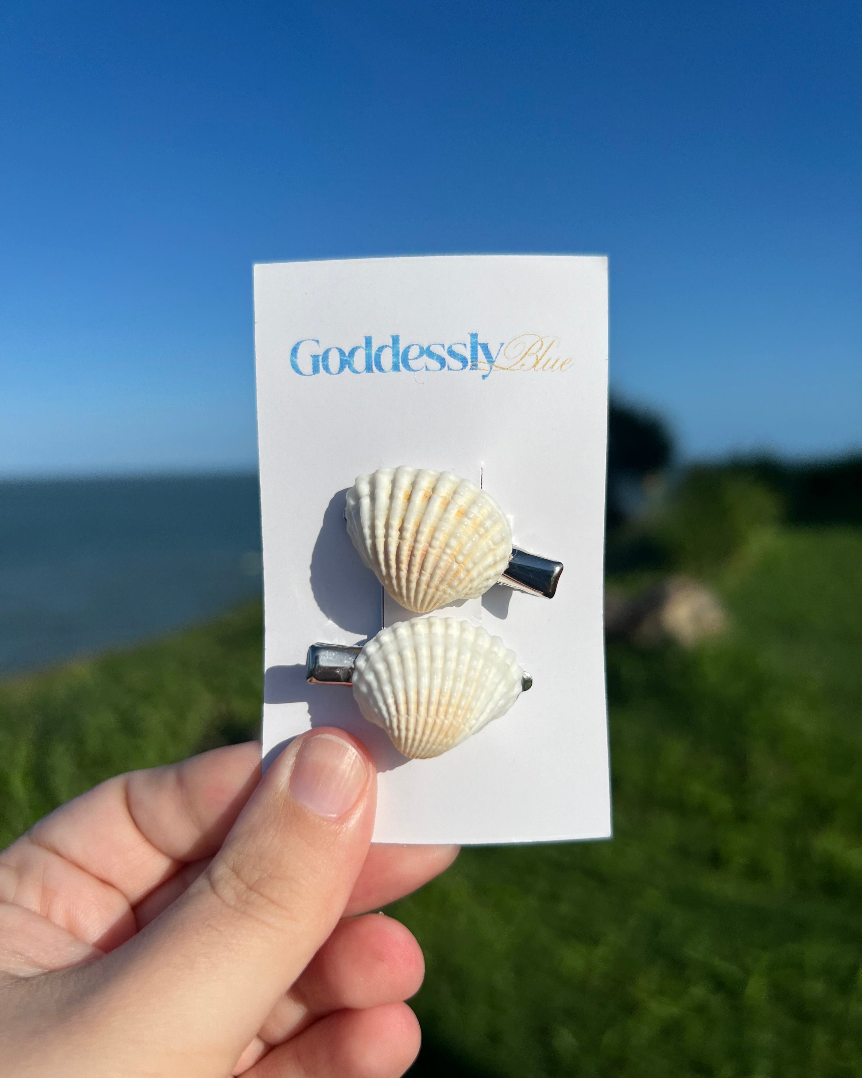 Shell Mini Hair Clips - Silver Finish